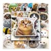 Cute Kitten Stickers